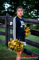 Pepperell Middle Cheer